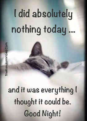 Good Night Funny